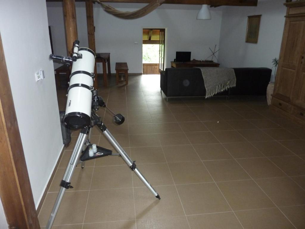 ホテルHolubnik Statecnych Zen Kralovych Luže 部屋 写真
